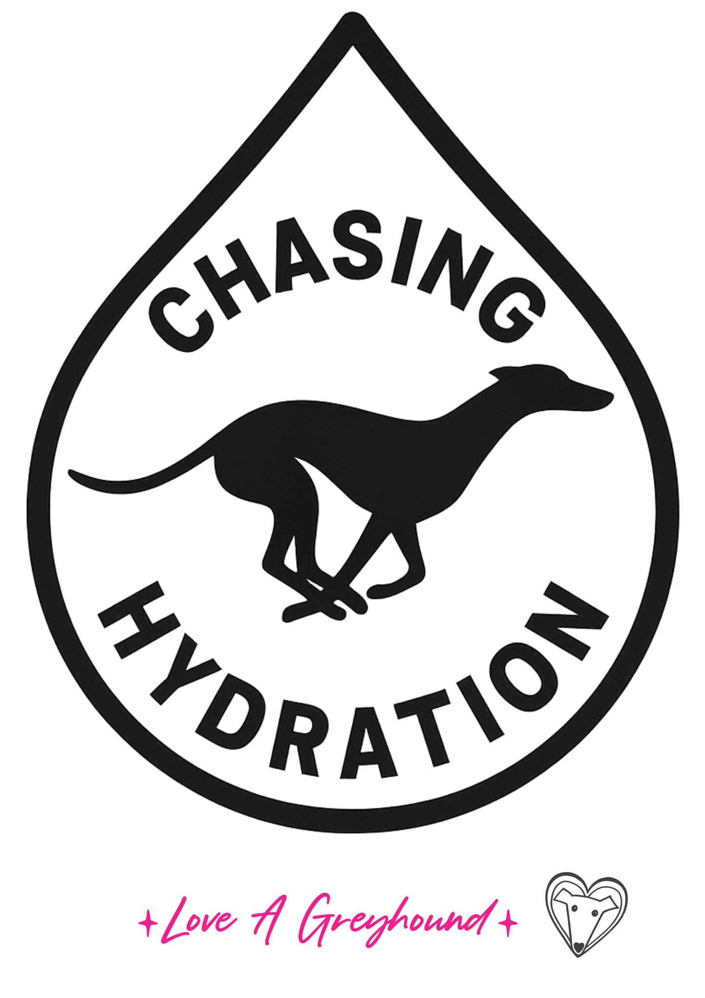 Yeti Bottle With Chug Cap Chasing Hydration (532 ML)