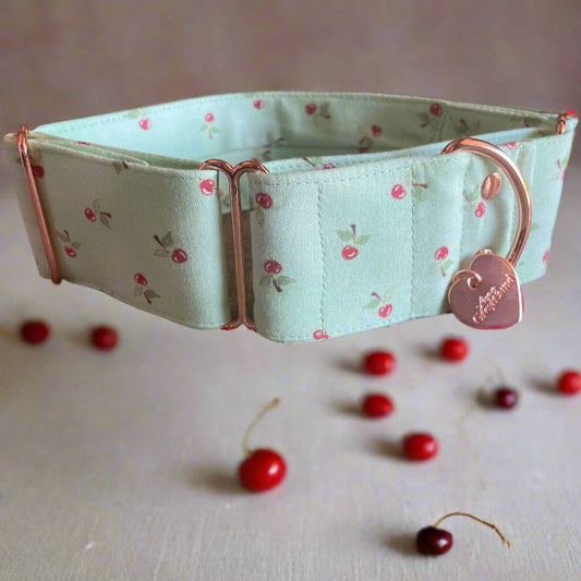Mint & Gold Cherry Martingale Collar
