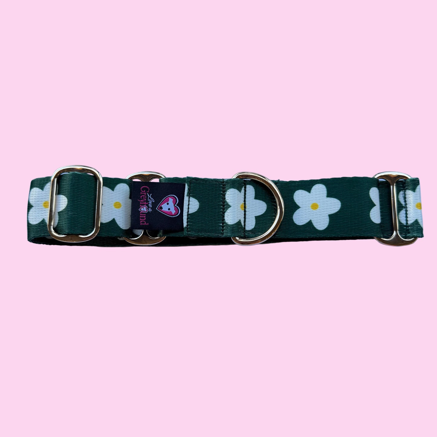🌿 Evergreen Daisy Martingale Greyhound 1.5 Inch Collar