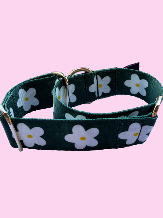 🌿 Evergreen Daisy Martingale Greyhound 1.5 Inch Collar