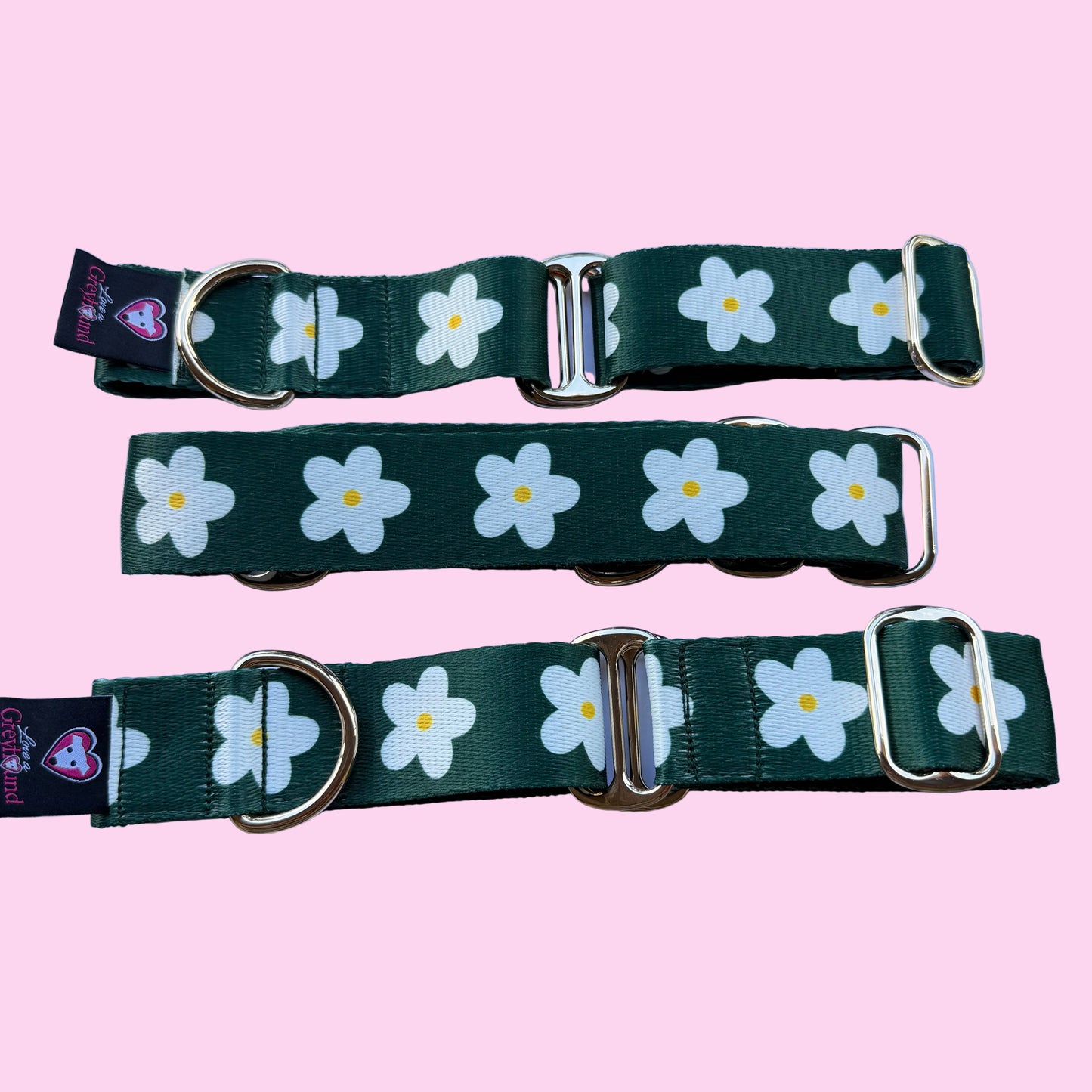 🌿 Evergreen Daisy Martingale Greyhound 1.5 Inch Collar