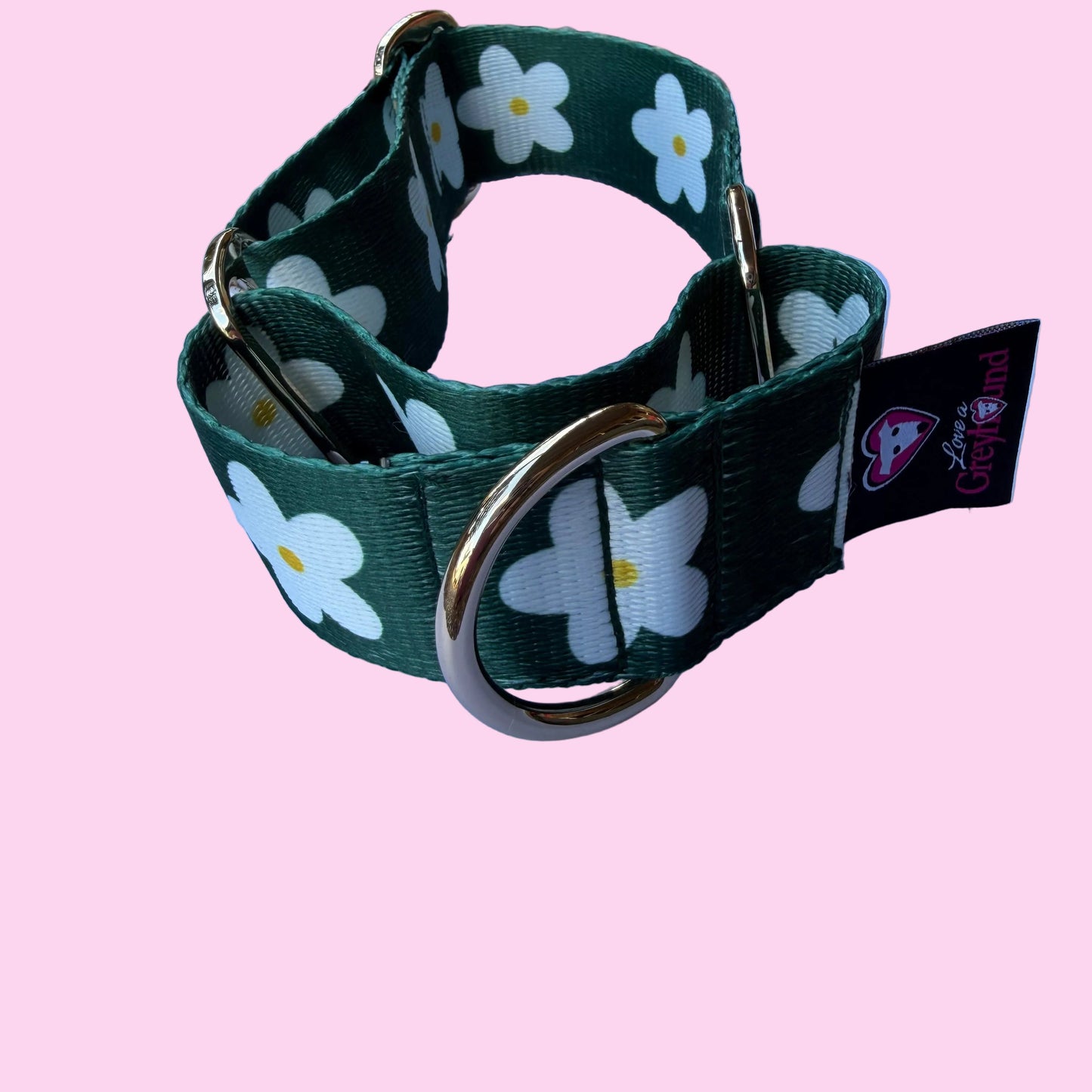🌿 Evergreen Daisy Martingale Greyhound 1.5 Inch Collar