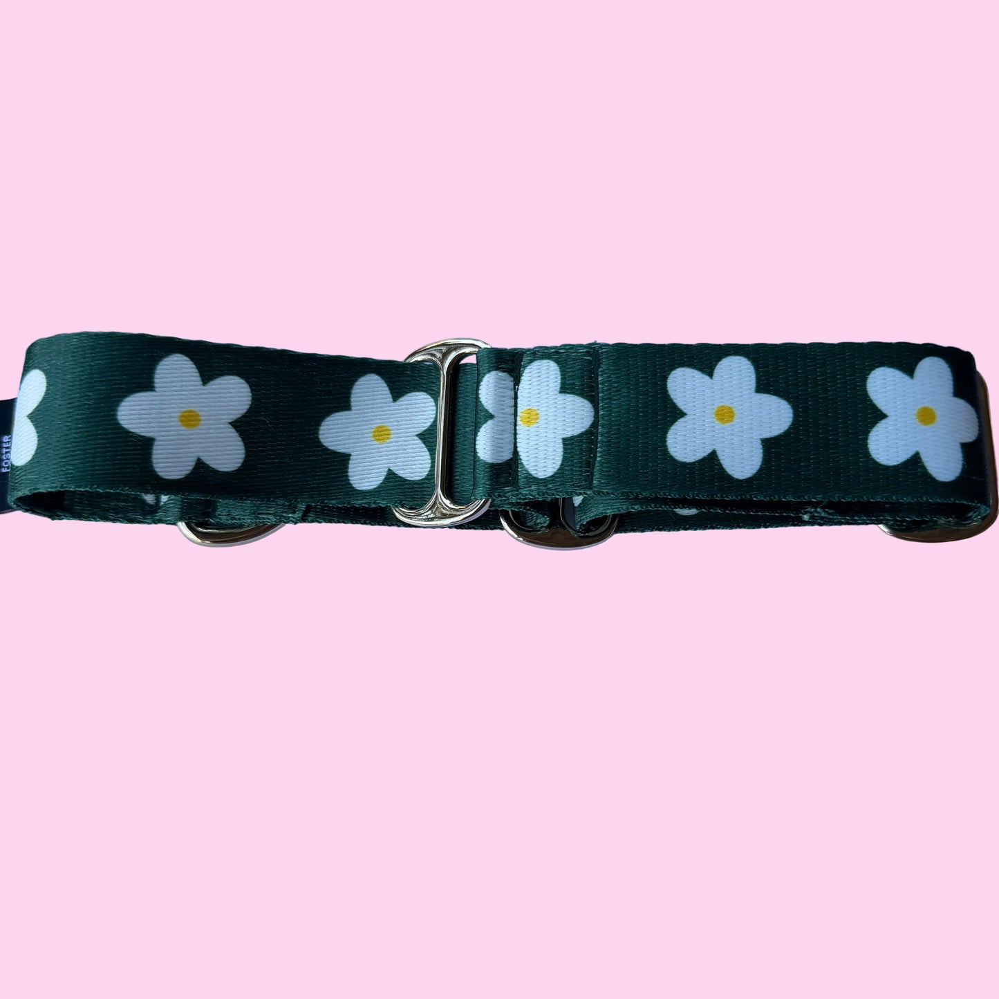 🌿 Evergreen Daisy Martingale Greyhound 1.5 Inch Collar
