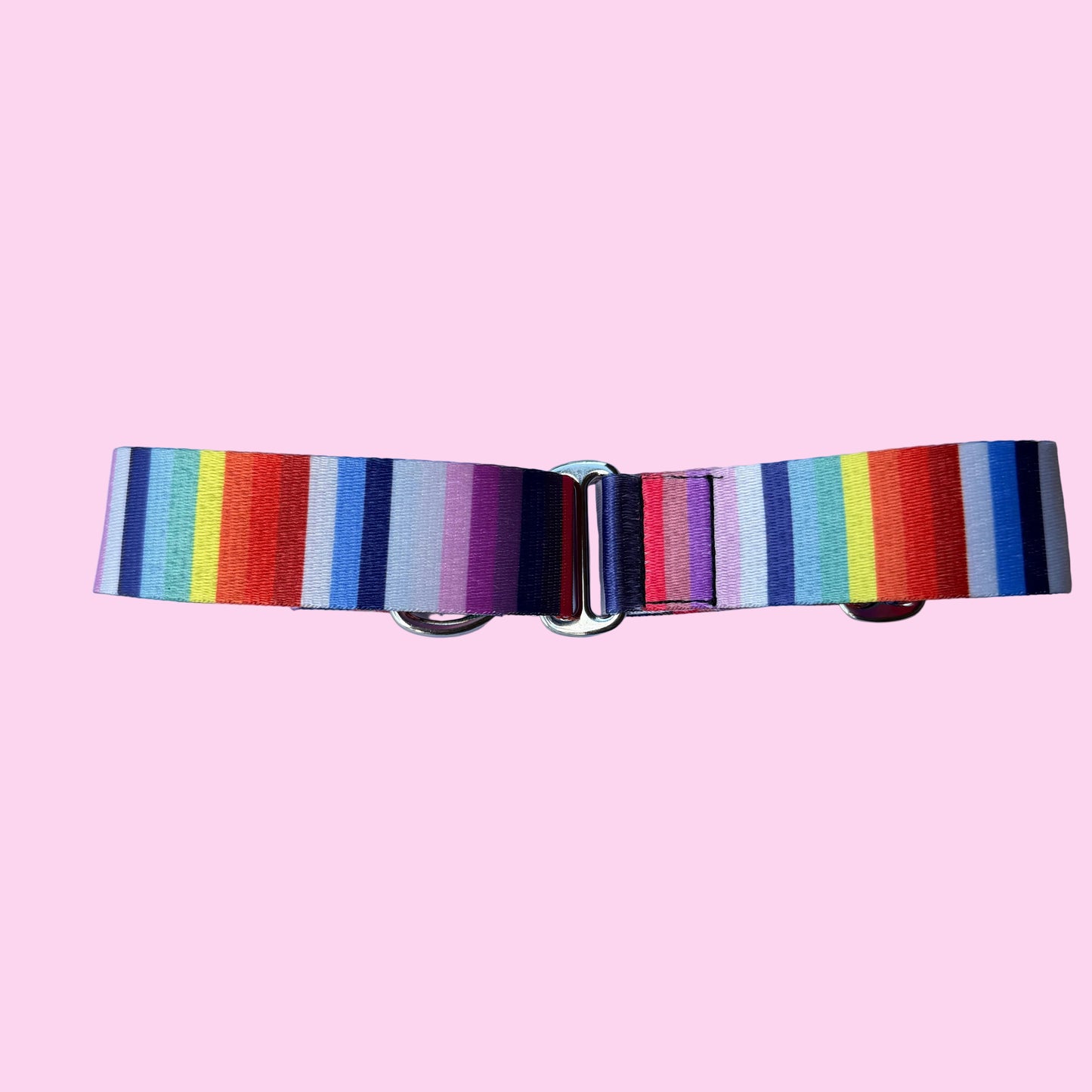 Rainbow Stripe Martingale Greyhound 1.5 Inch Collar
