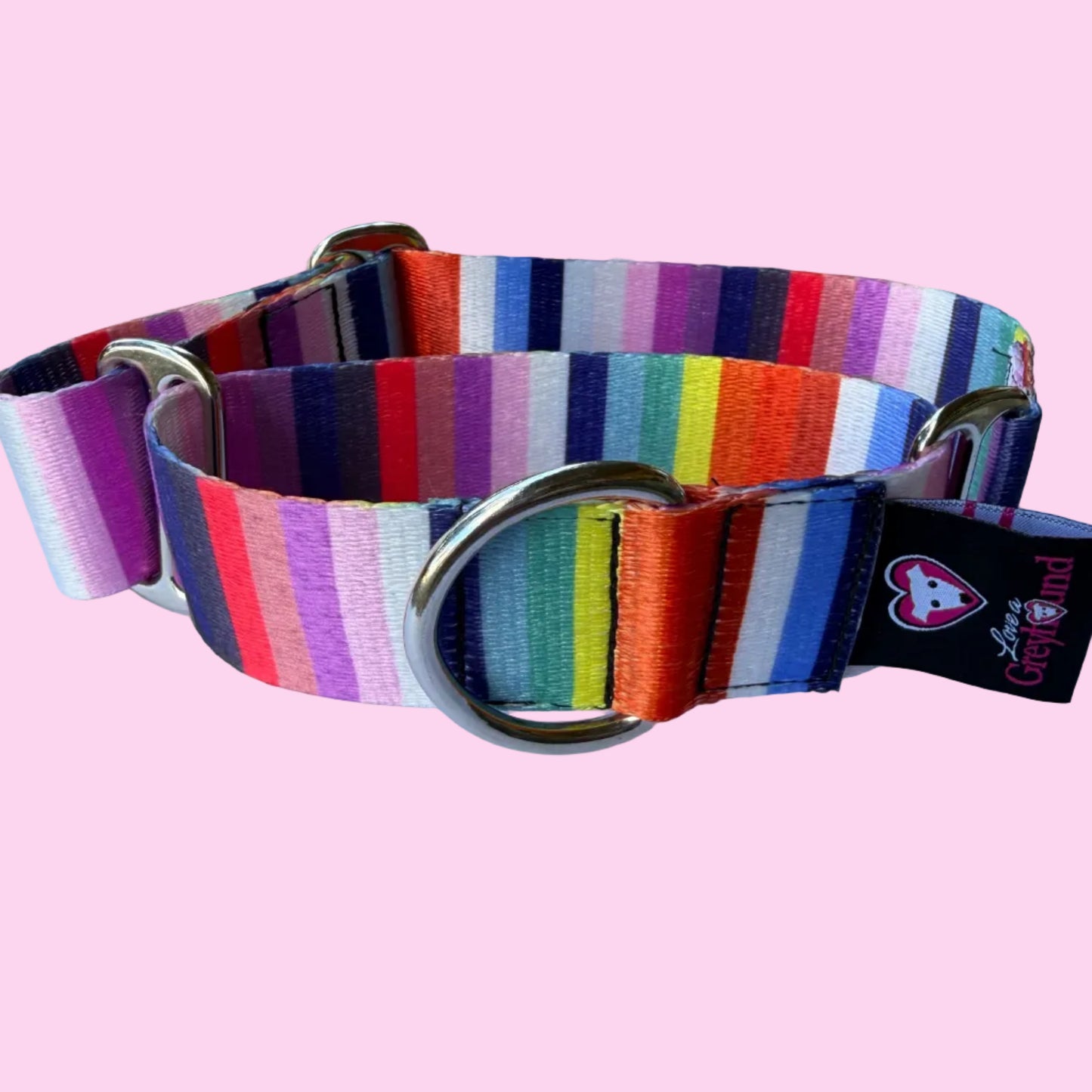 Rainbow Stripe Martingale Greyhound 1.5 Inch Collar