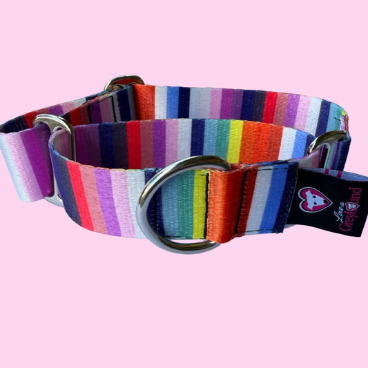 🌈 Confetti Martingale Greyhound 1.5 Inch Collar