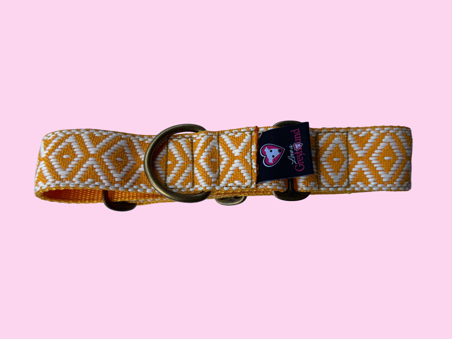🌼 Marigold Glow Martingale Greyhound 1.5 Inch Collar