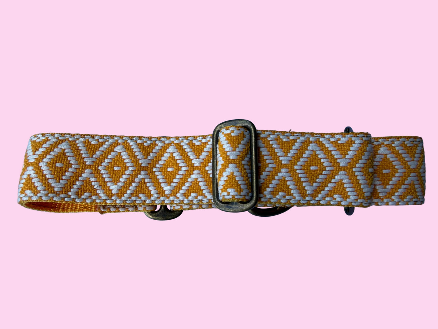 🌼 Marigold Glow Martingale Greyhound 1.5 Inch Collar