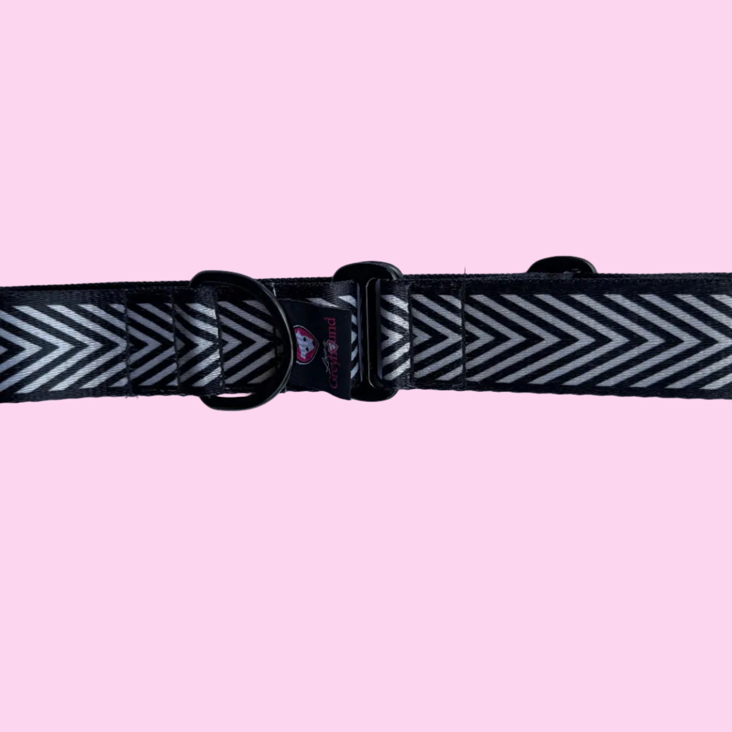 V Stripe Martingale Greyhound 1.5 Inch Collar