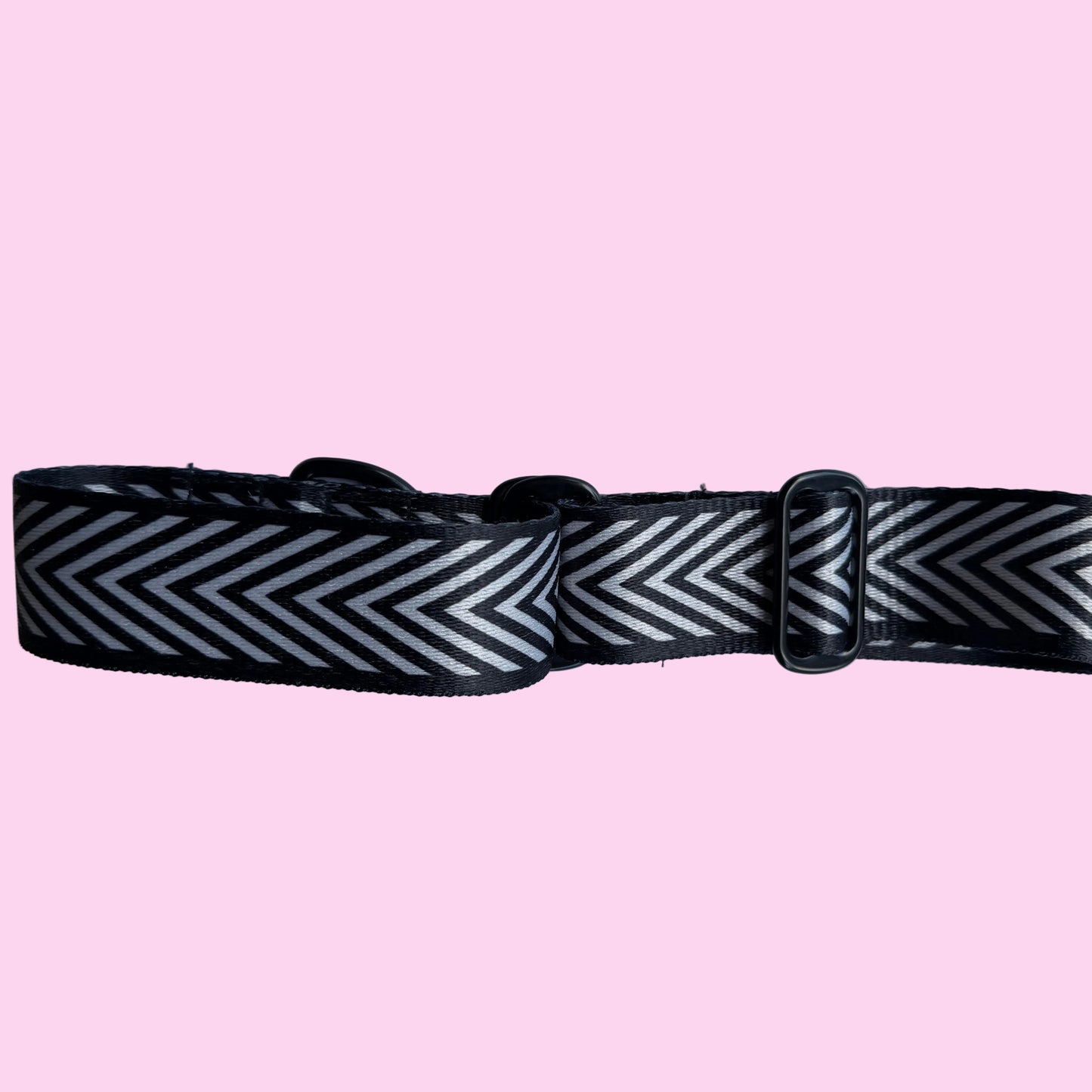 V Stripe Martingale Greyhound 1.5 Inch Collar