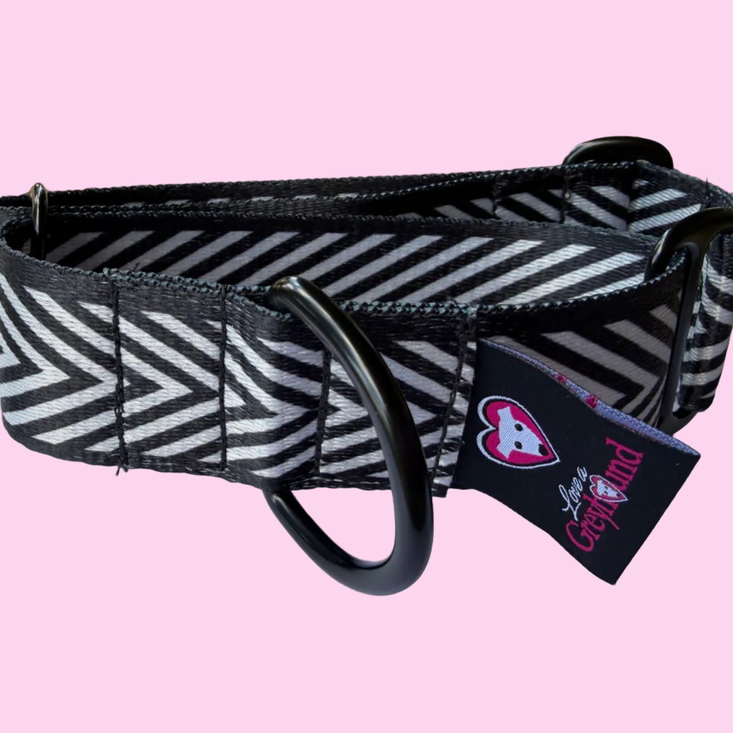 V Stripe Martingale Greyhound 1.5 Inch Collar