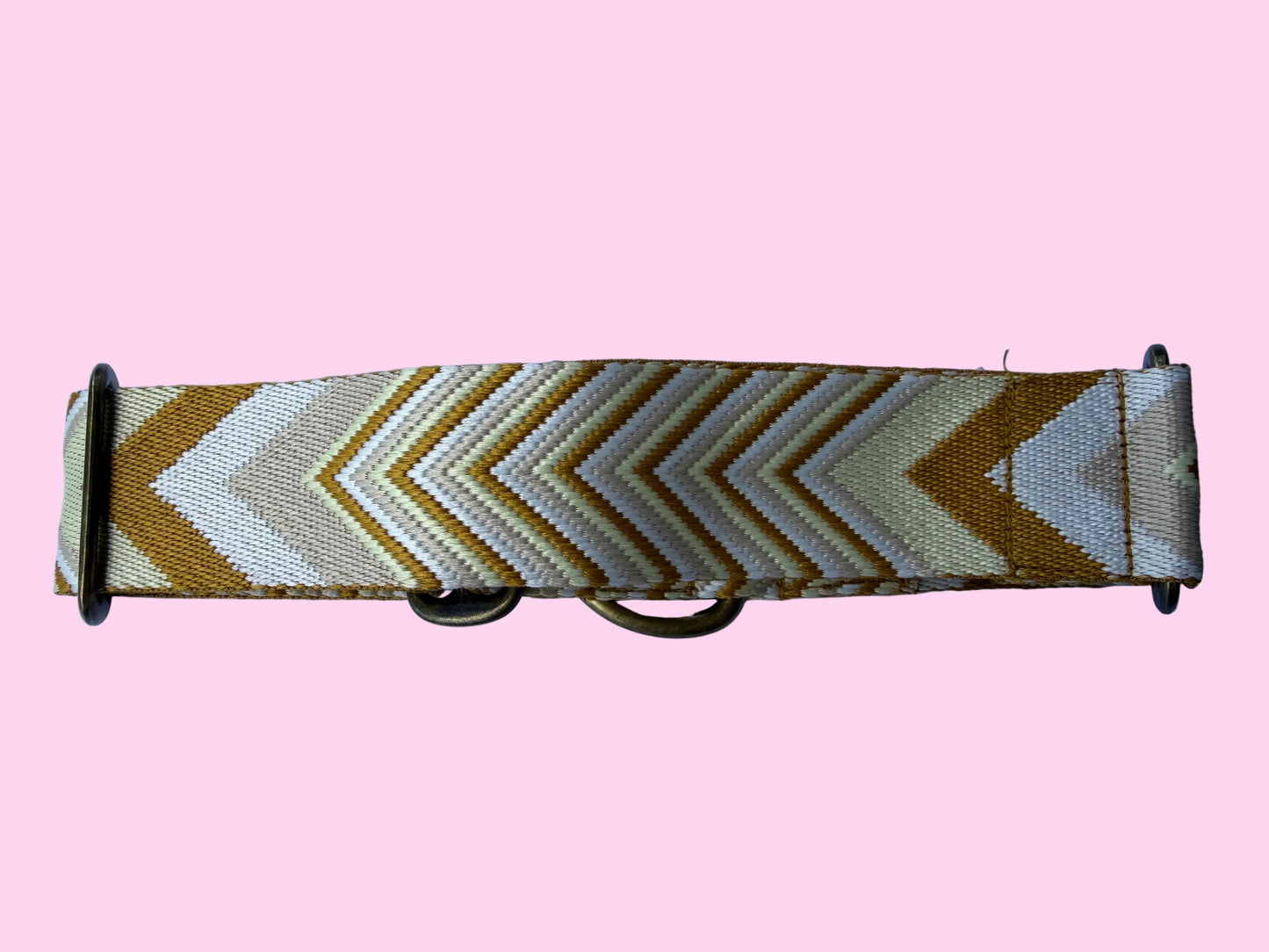 Golden Harvest Martingale Greyhound 1.5 Inch Collar
