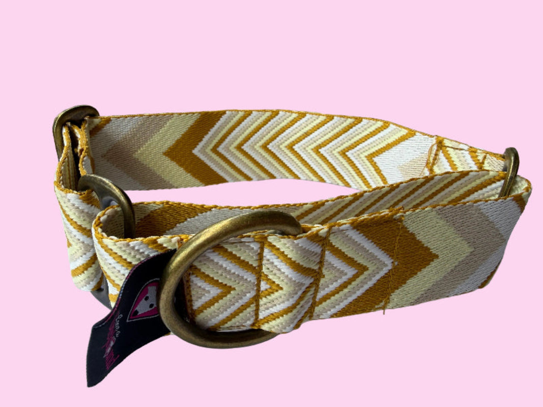Golden Harvest Martingale Greyhound 1.5 Inch Collar