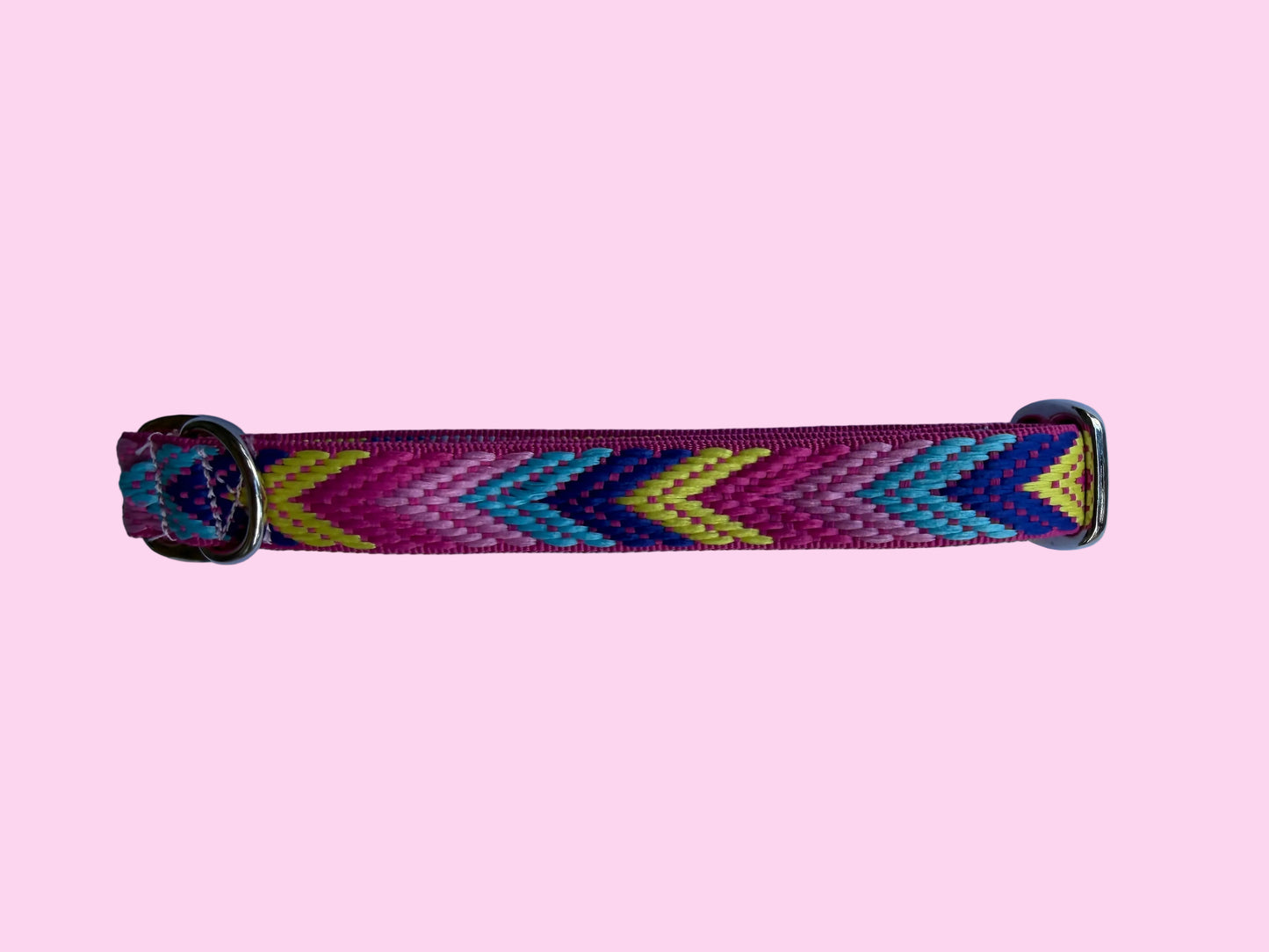 🎉 Fiesta Pink Chevron Greyhound House Collar