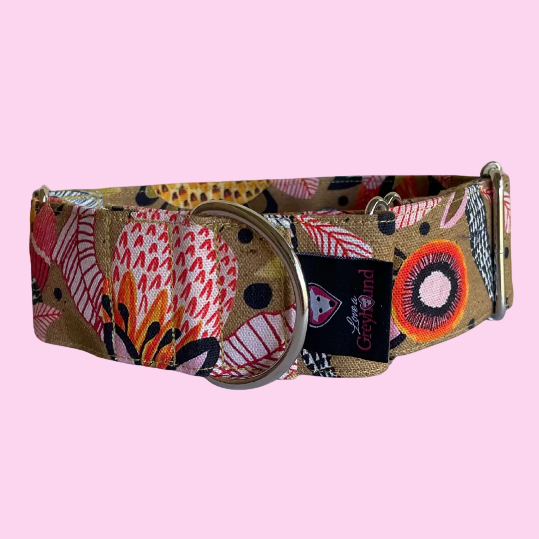 Martingale Greyhound Collar, Wide Adjustable Dog Collar 1.5 Inch, 2 Inch  - Kirsten Katz Protea Pop