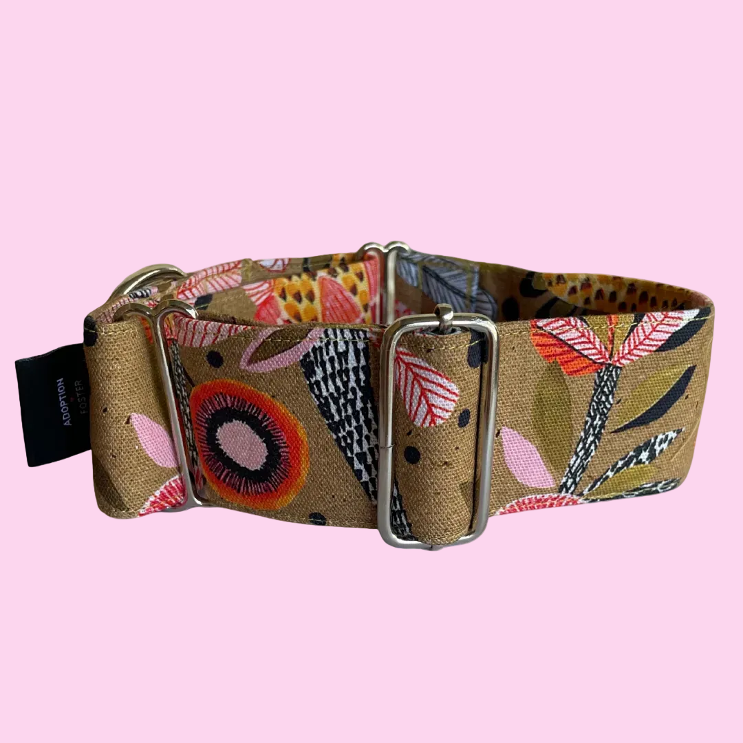 Martingale Greyhound Collar, Wide Adjustable Dog Collar 1.5 Inch, 2 Inch  - Kirsten Katz Protea Pop