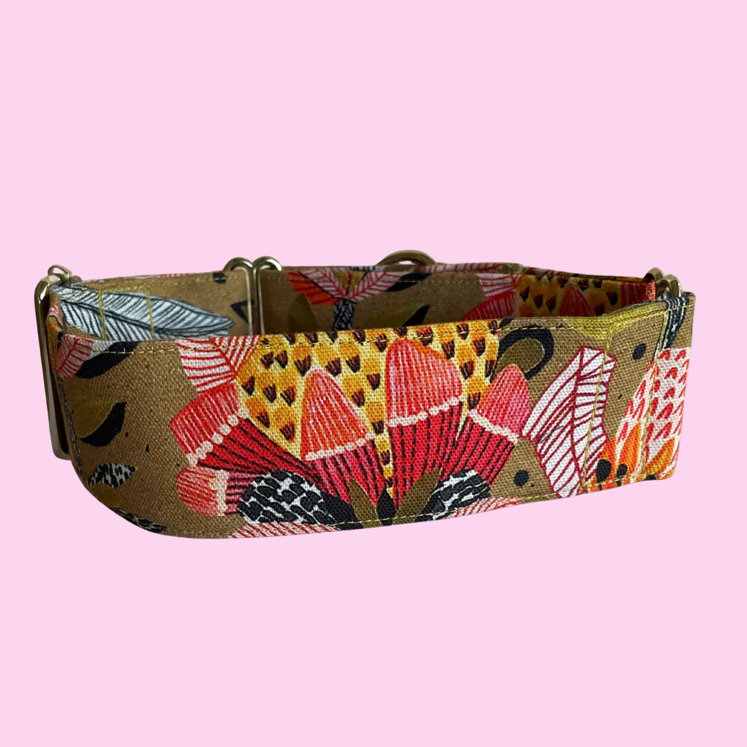 Martingale Greyhound Collar, Wide Adjustable Dog Collar 1.5 Inch, 2 Inch  - Kirsten Katz Protea Pop