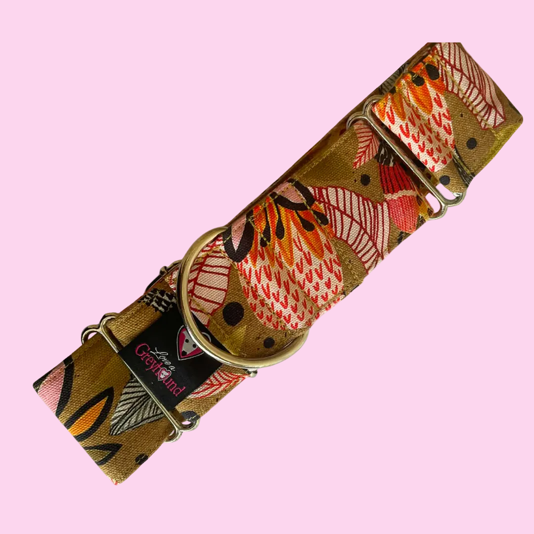 Martingale Greyhound Collar, Wide Adjustable Dog Collar 1.5 Inch, 2 Inch  - Kirsten Katz Protea Pop