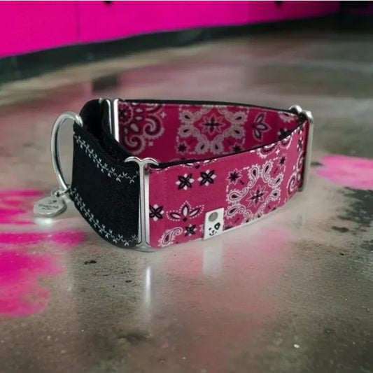 Paisley Pink x Black Denim Martingale Collar