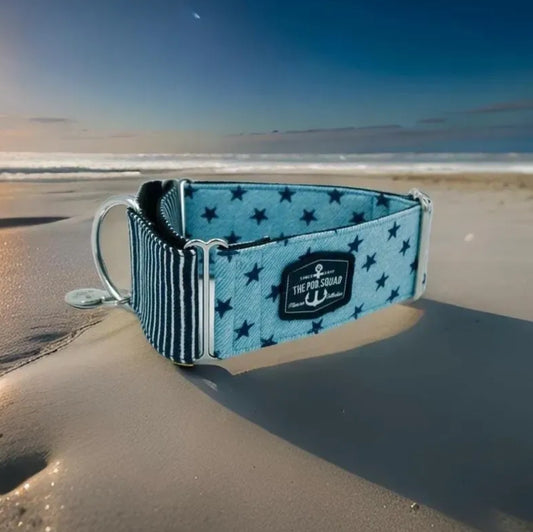 Nautical Sky Blue Stars - Marine Edition Martingale Collar