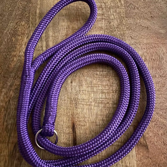 Purple Lead
