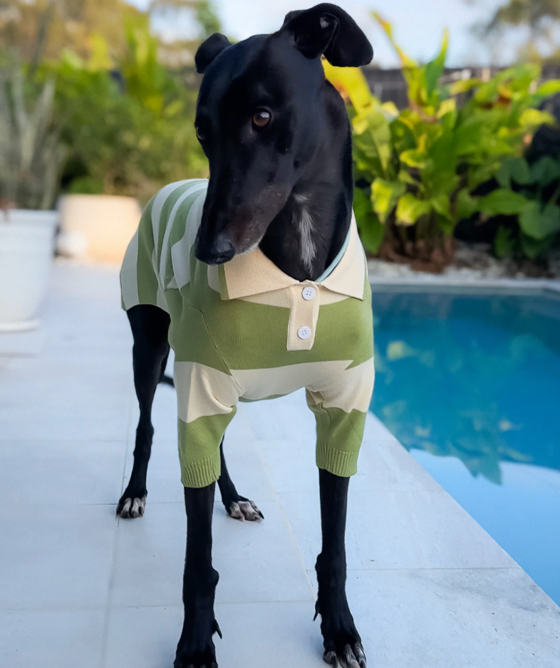 Green Eggs and Ham Polo Size L