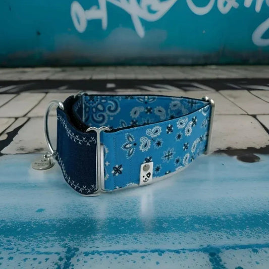 Paisley Blue x Blue Denim Martingale Collar