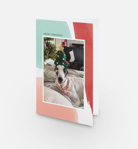 Greyhound with tree hat Christmas Card
