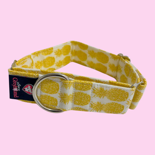 Martingale Greyhound Collar, Wide Adjustable Dog Collar 1.5 Inch, 2 Inch - Pineapple Pop