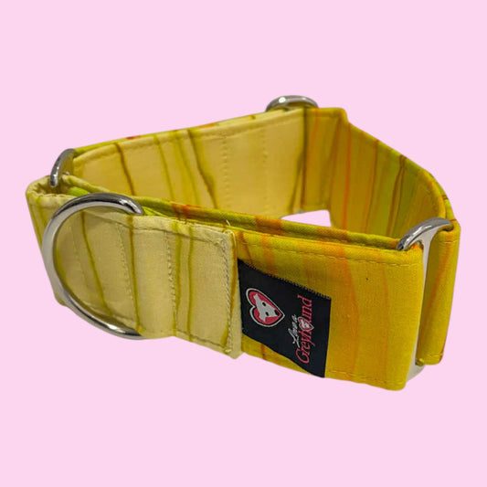Martingale Greyhound Collar, Wide Adjustable Dog Collar 1.5 Inch, 2 Inch - Sunbeam Stripe