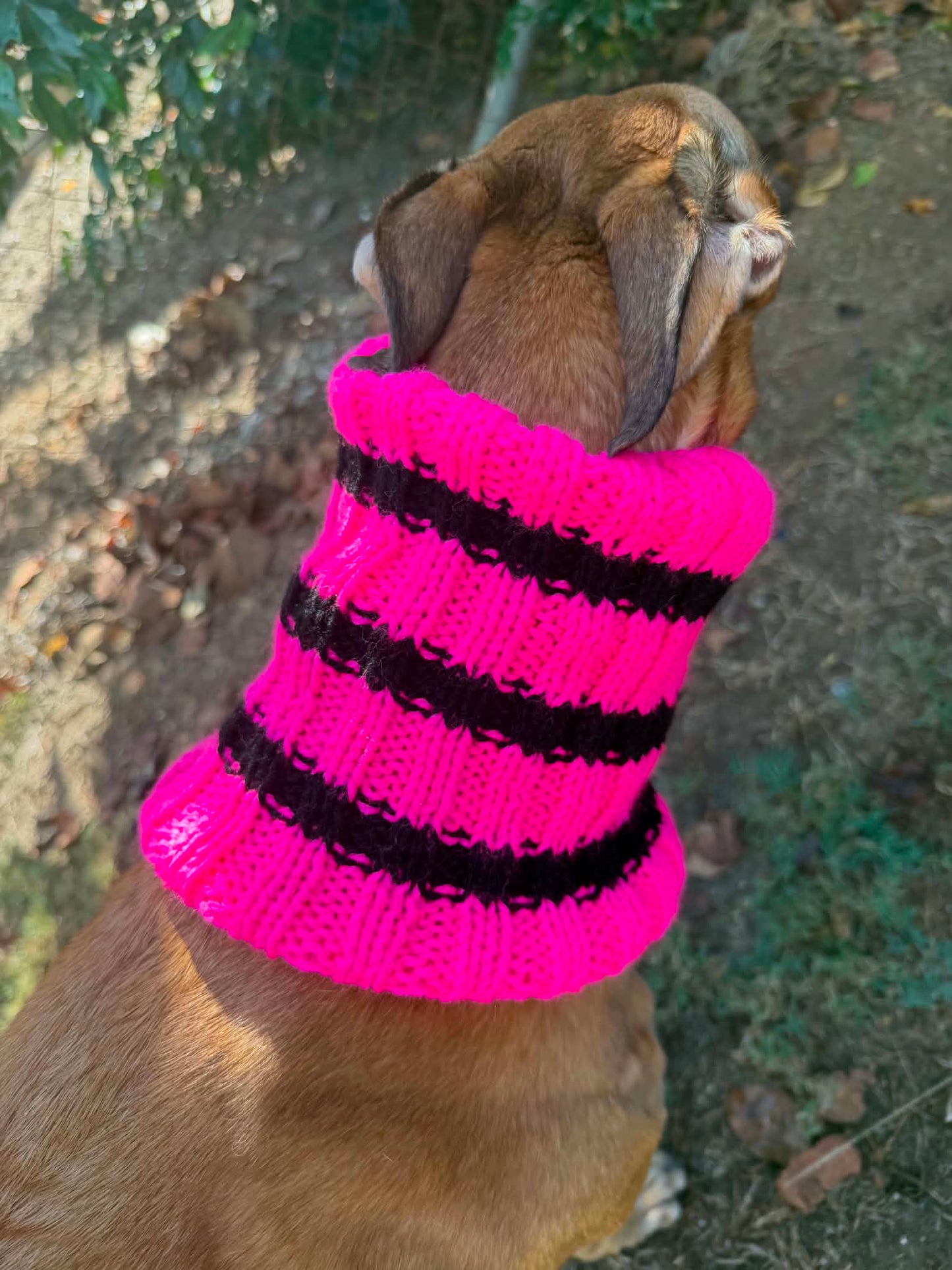 Mean Girls Snood