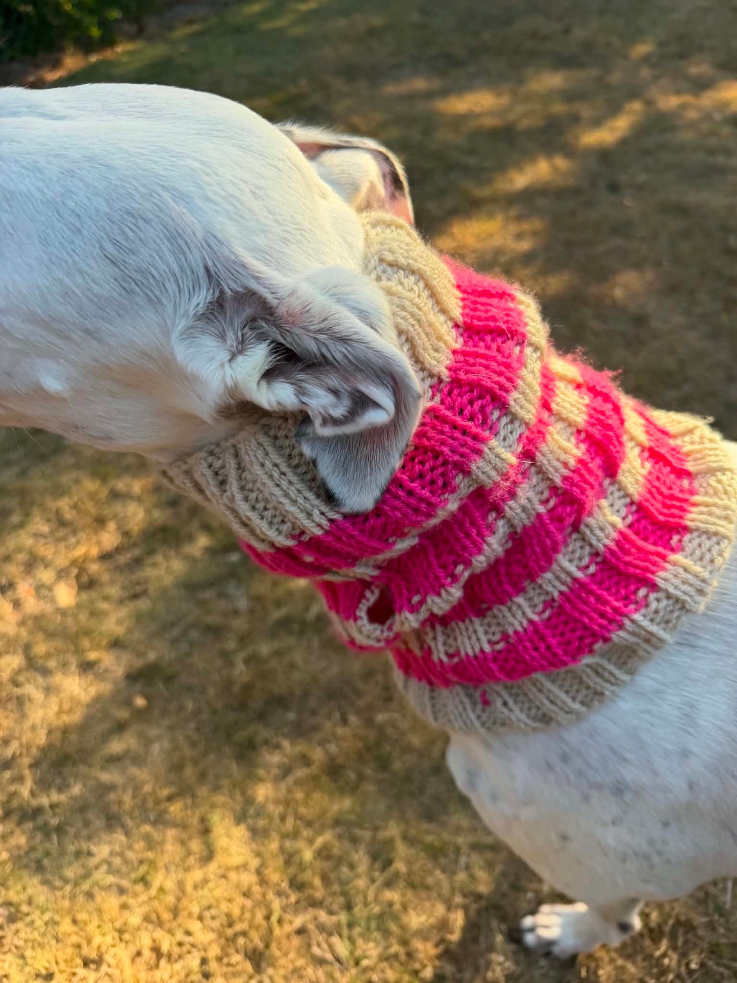 Candy Floss Snood