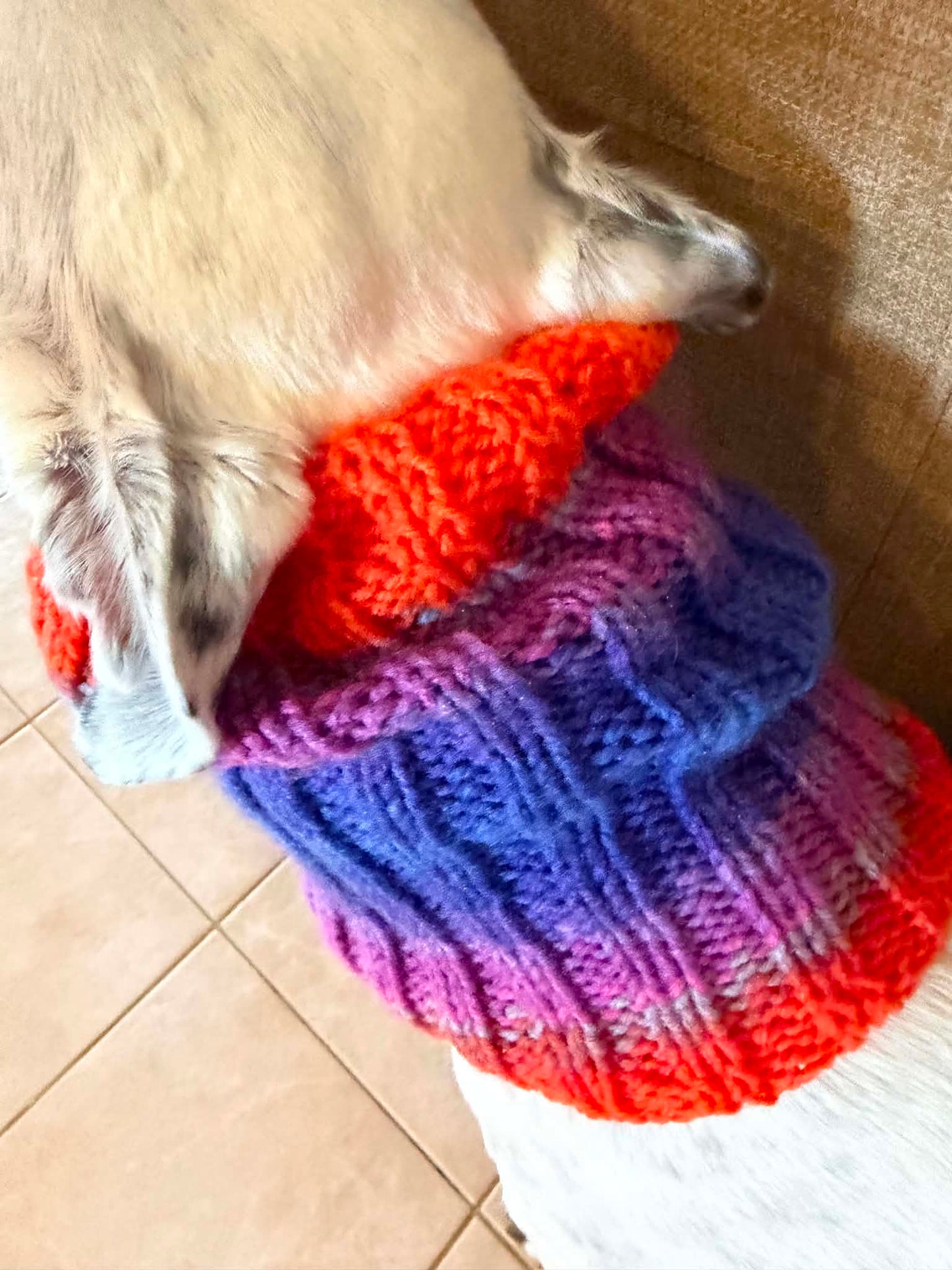 Cosmic Sunset Snood