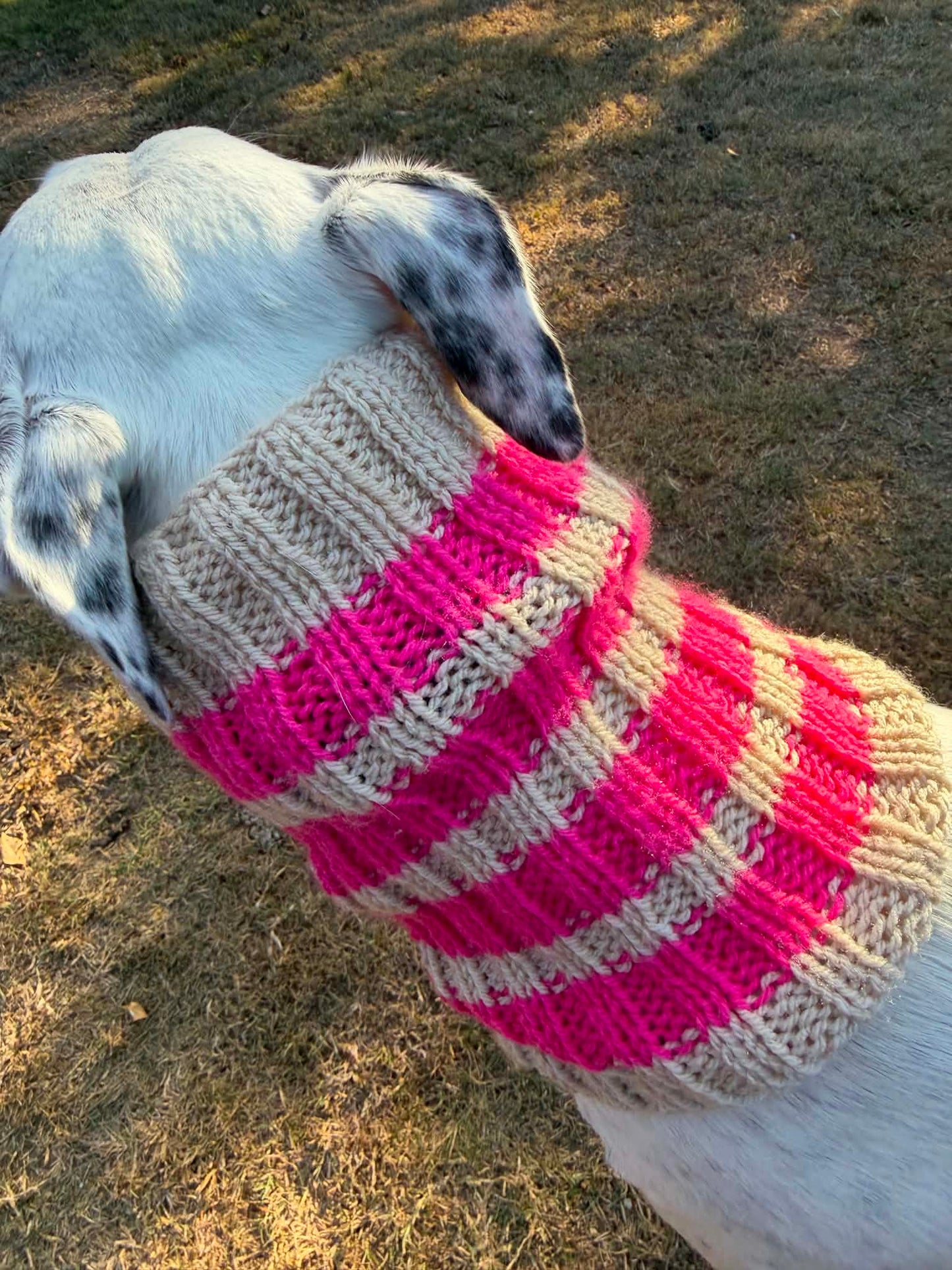 Candy Floss Snood
