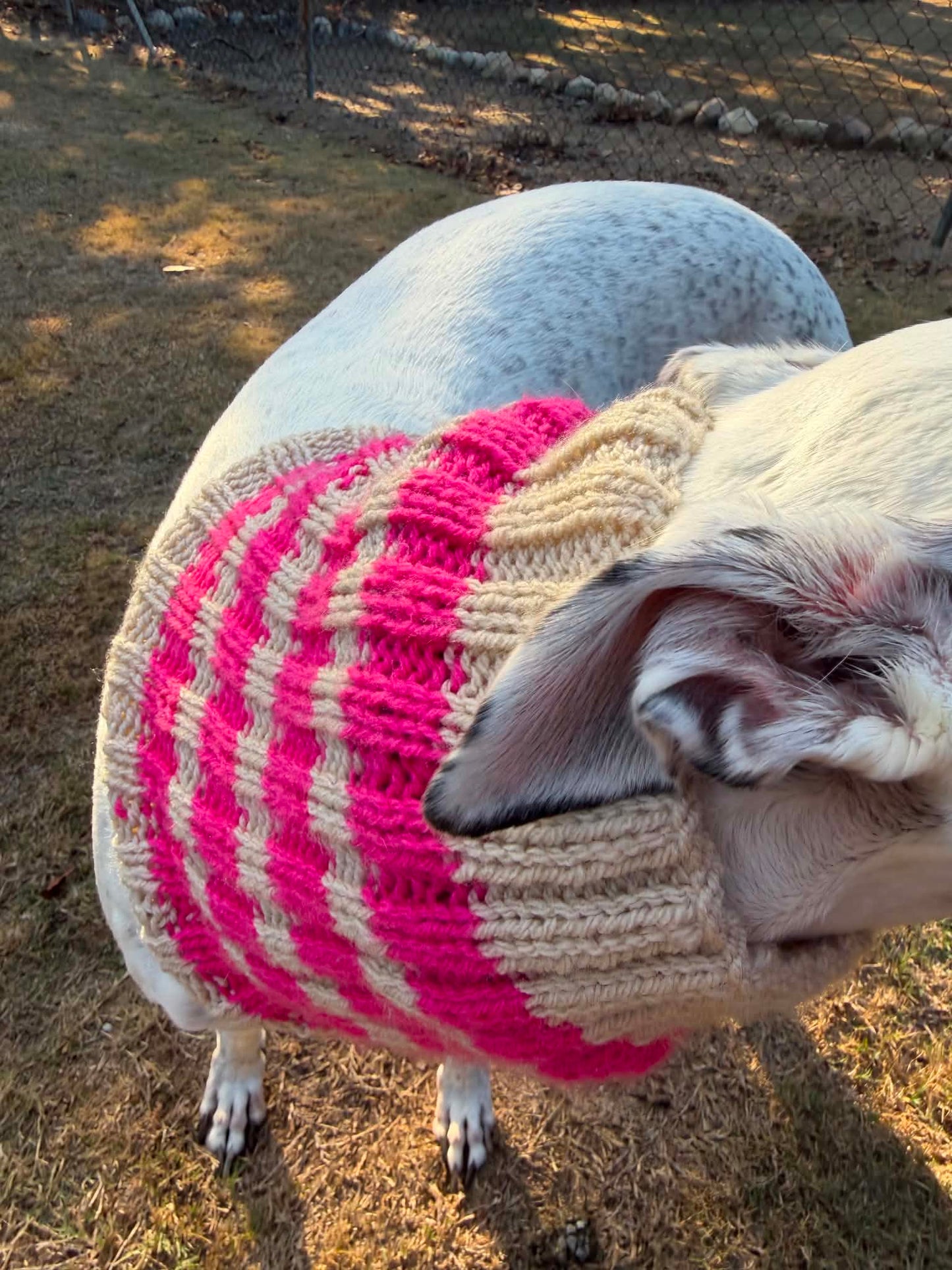 Candy Floss Snood