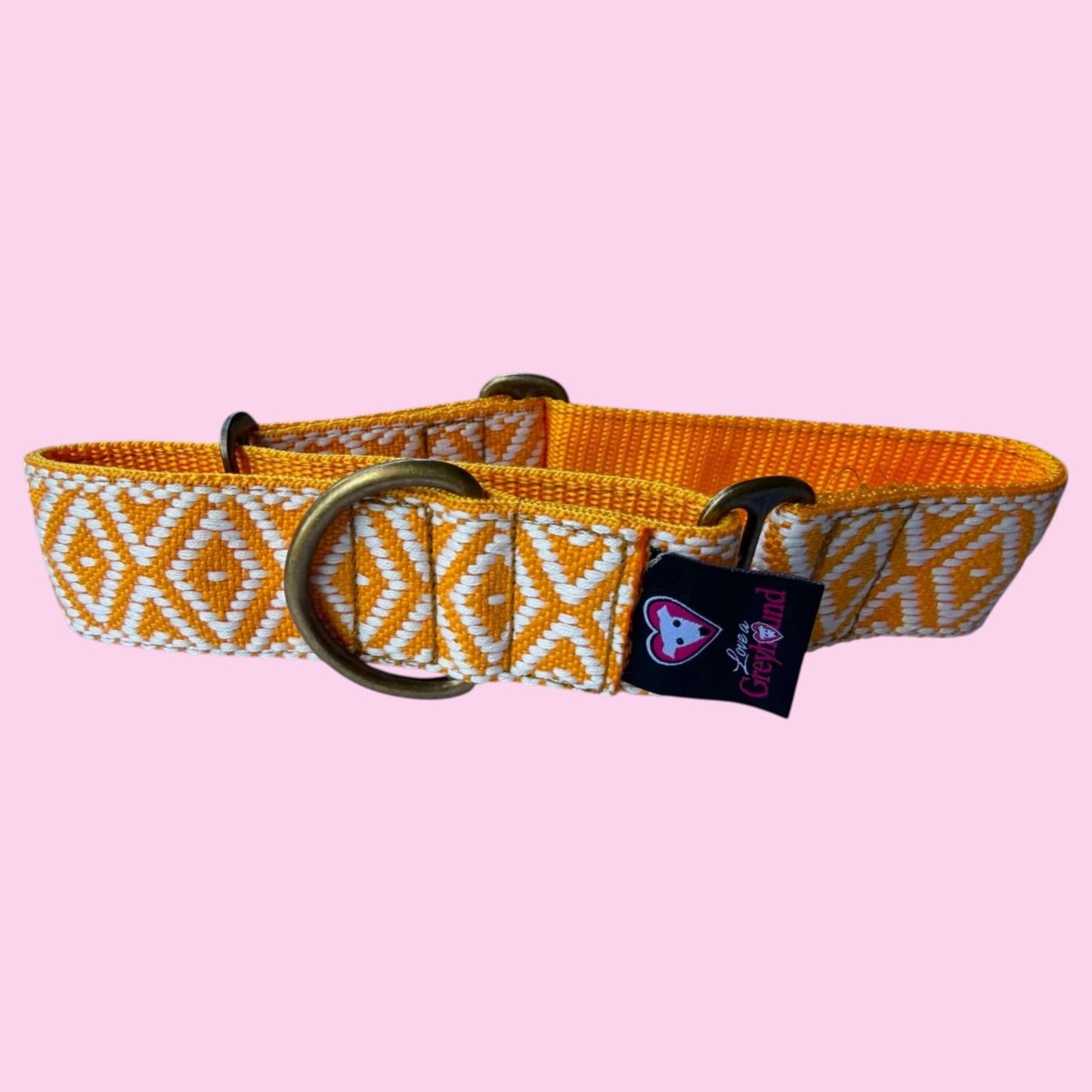 🌼 Marigold Glow Martingale Greyhound 1.5 Inch Collar