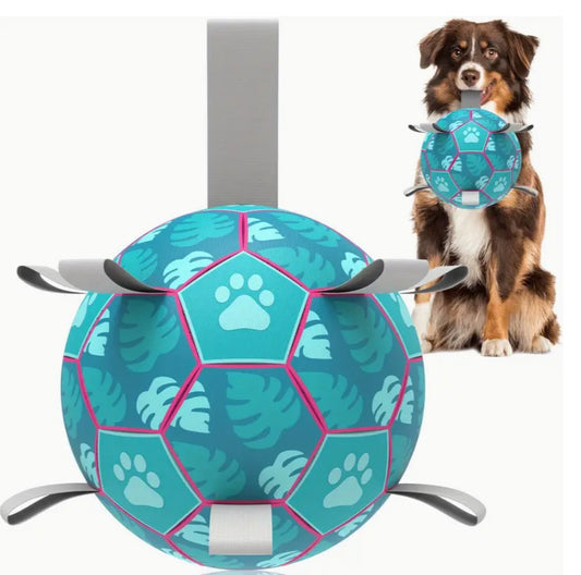 Inflatable Football Dog Toy