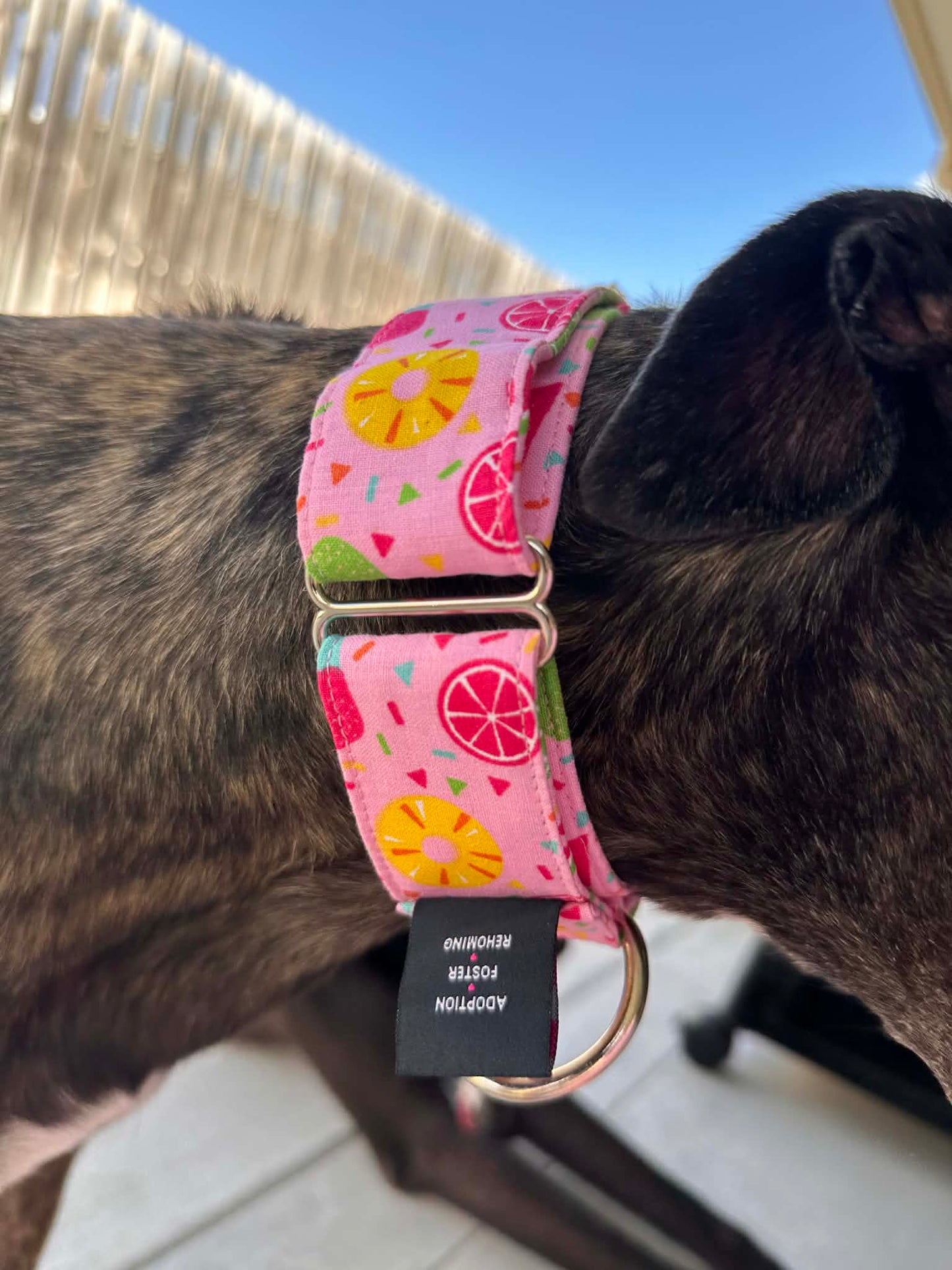 Martingale Greyhound Collar, Wide Adjustable Dog Collar 1.5 Inch, 2 Inch - Summer Sorbet