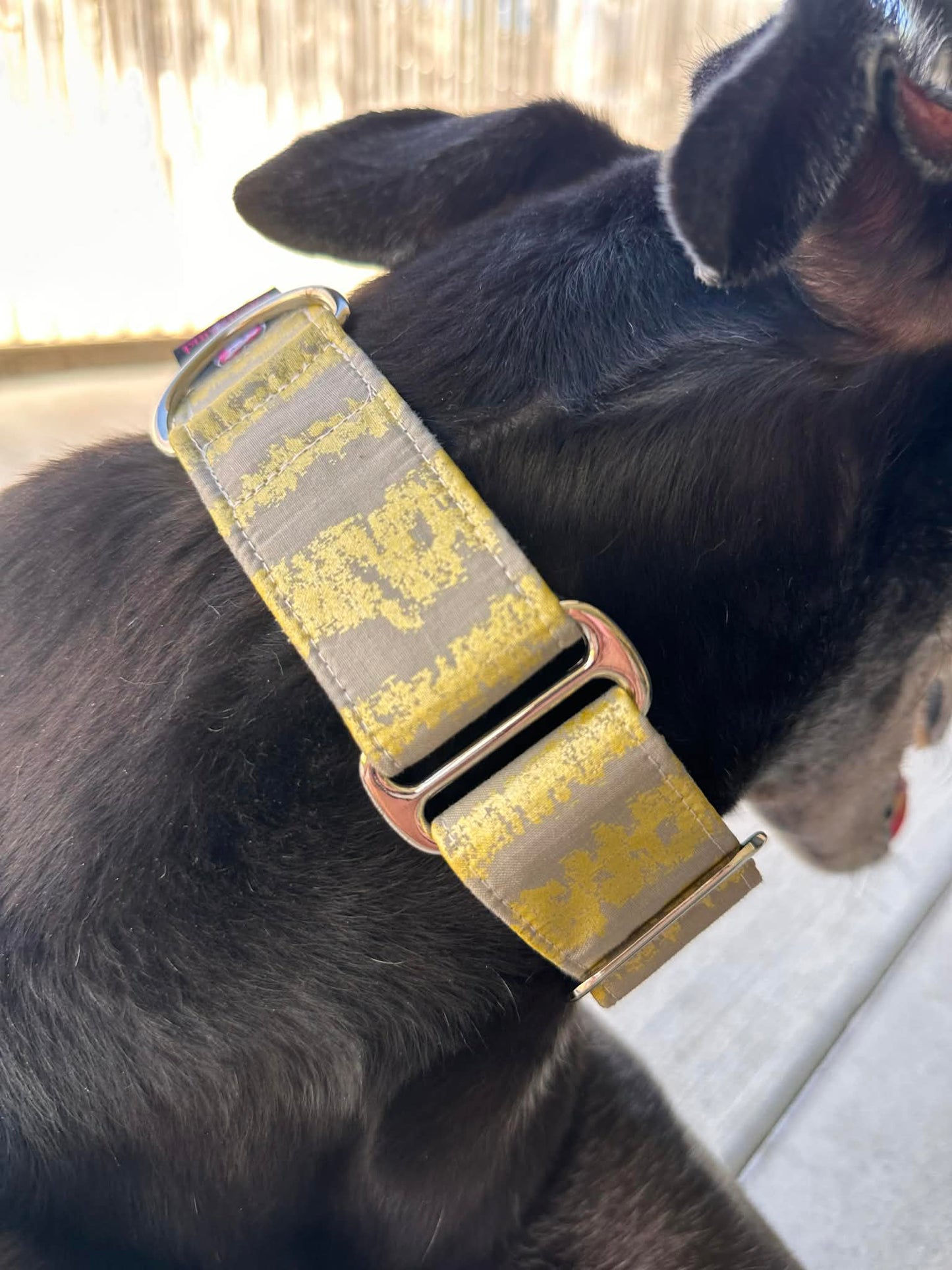 Martingale Greyhound Collar, Wide Adjustable Dog Collar 1.5 Inch, 2 Inch - Golden Brushstroke