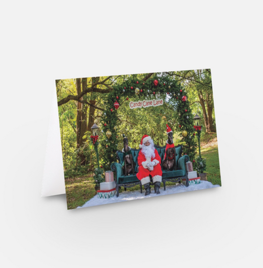 Greyhound Candy Cane Lane Christmas Card