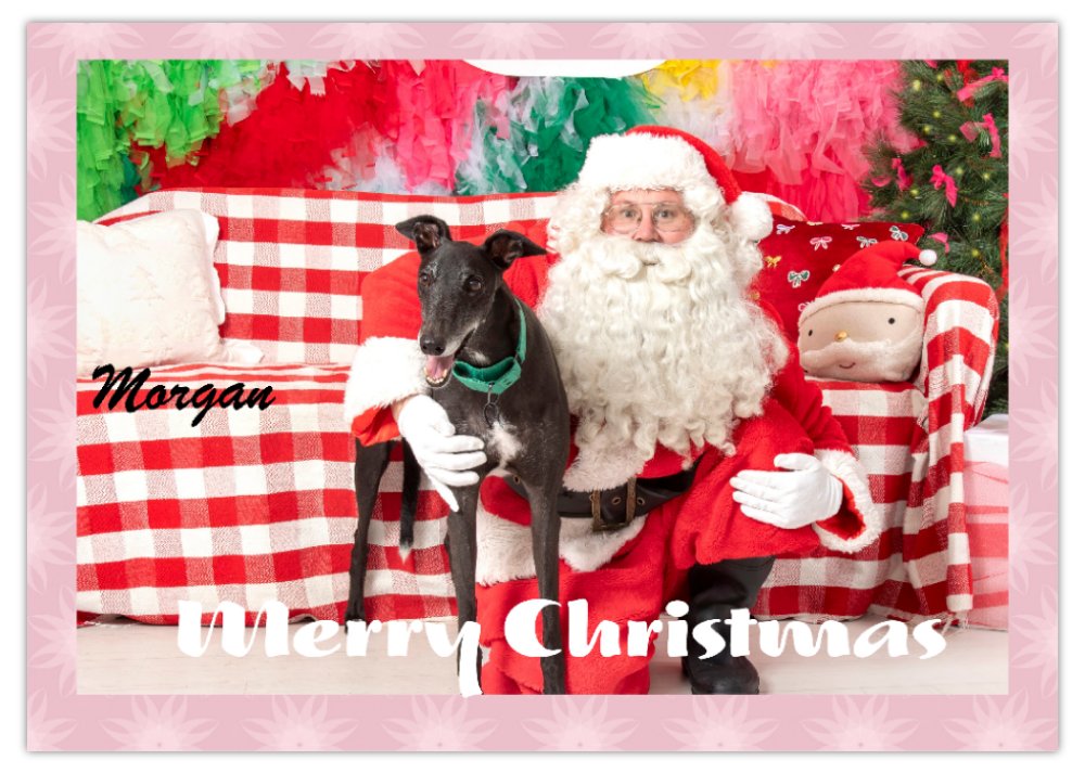 2026 Love A Greyhound A4 Double Wall Photo Calendar