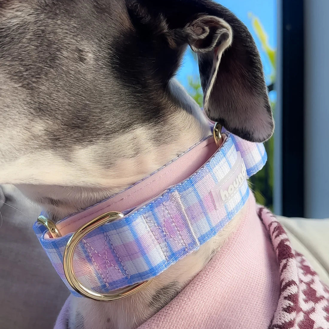 Martingale Collar - Plaid