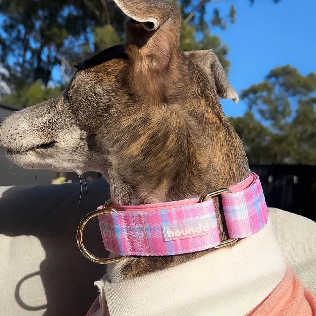 Martingale Collar - Plaid