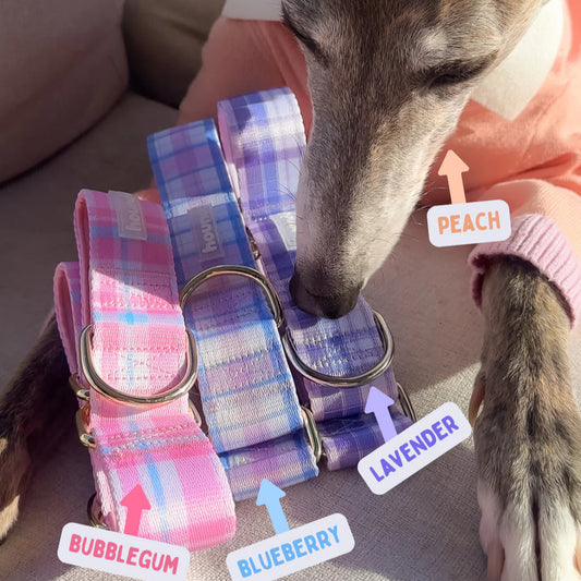 Martingale Collar - Plaid