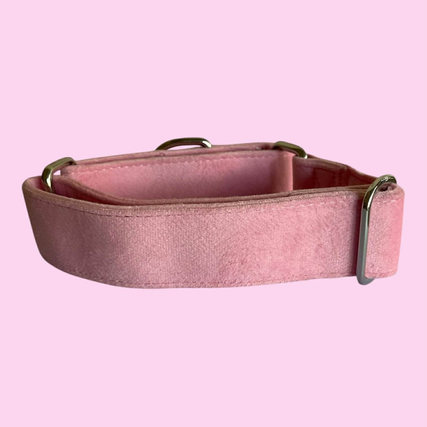 Martingale Collar - Velvet
